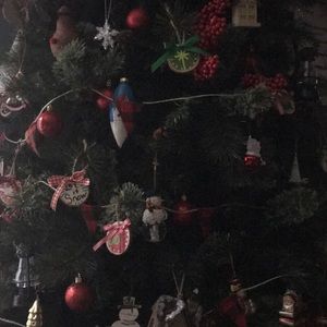 Meet your Posher, Vince